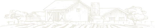 about-one-shape-1 alt