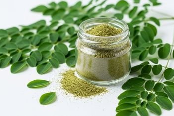 Moringa Leaves Powder
