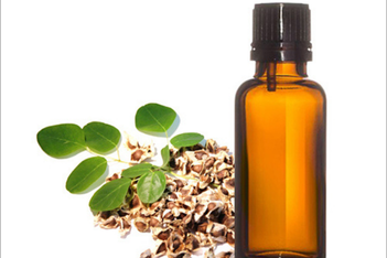 Moringa Seeds Oil