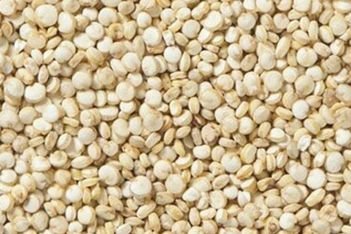 Quinoa-Seeds