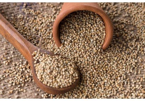 bajra-pearl-millet