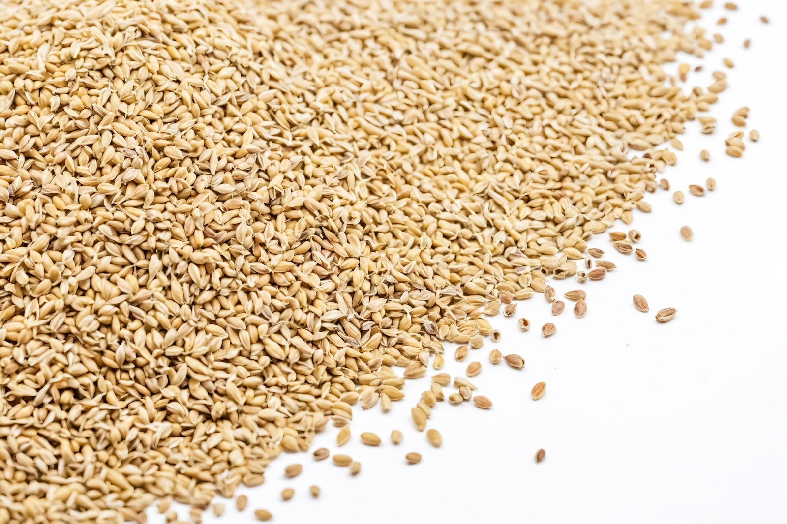 barley