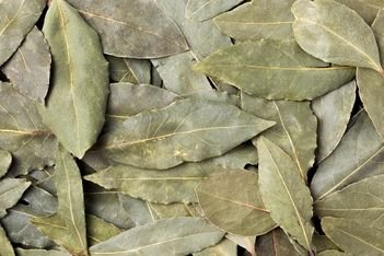 bay leaves