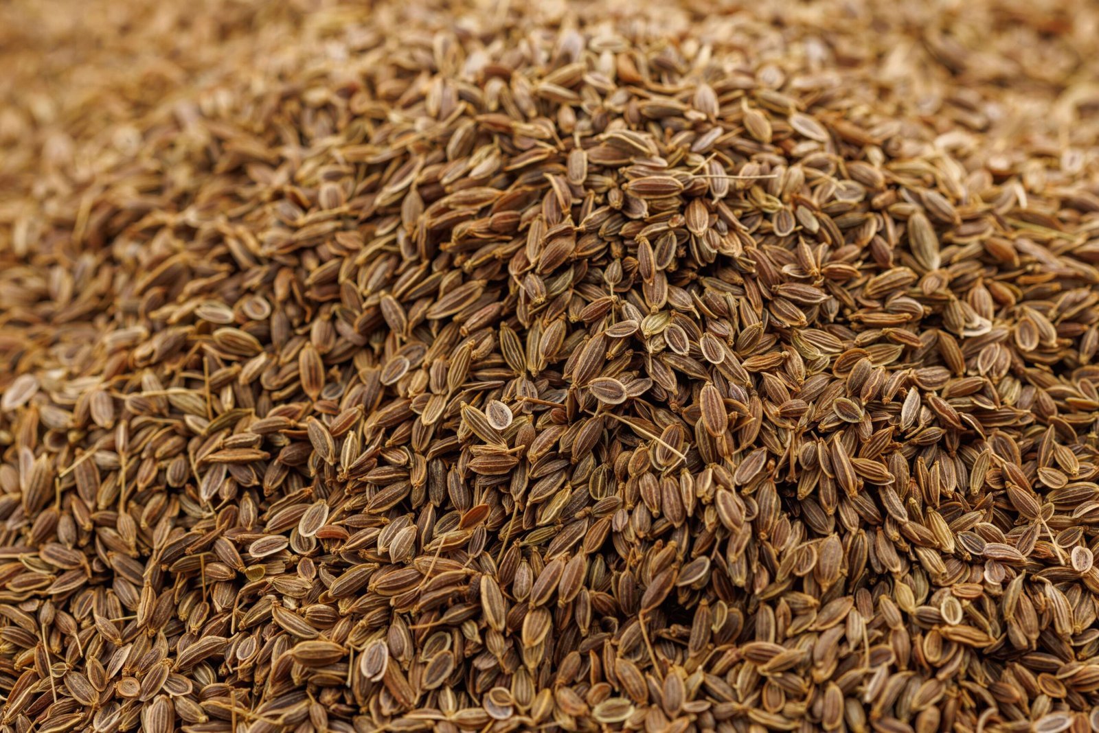 dill seeds