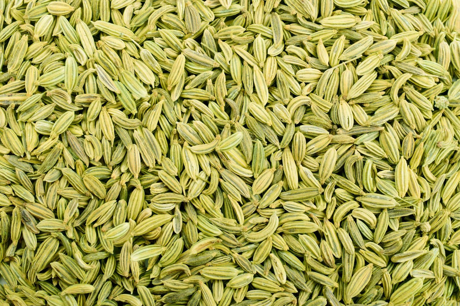 fennel seeds