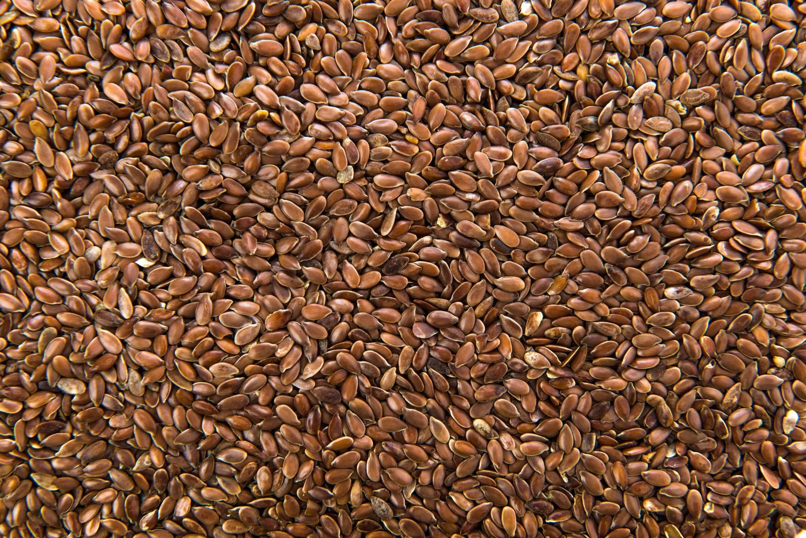 flax seeds