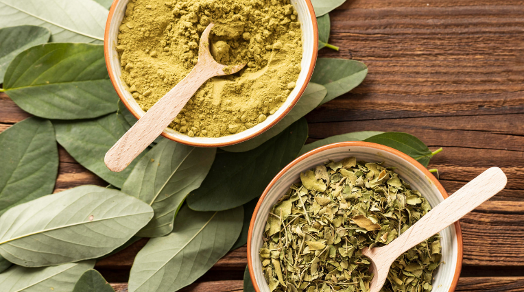 moringa leaves extract