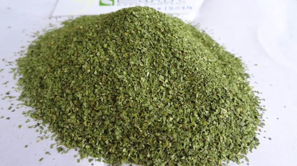 moringa leaves tea cut