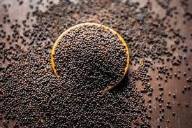 mustard seeds