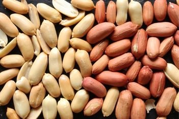 peanut seeds