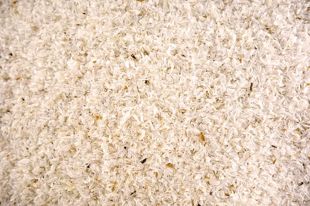 psyllium husk