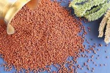 ragi