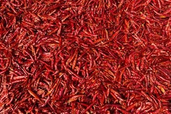 red chili