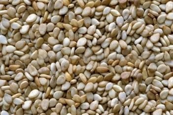 sesame seeds