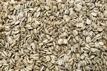 sunflower seeds