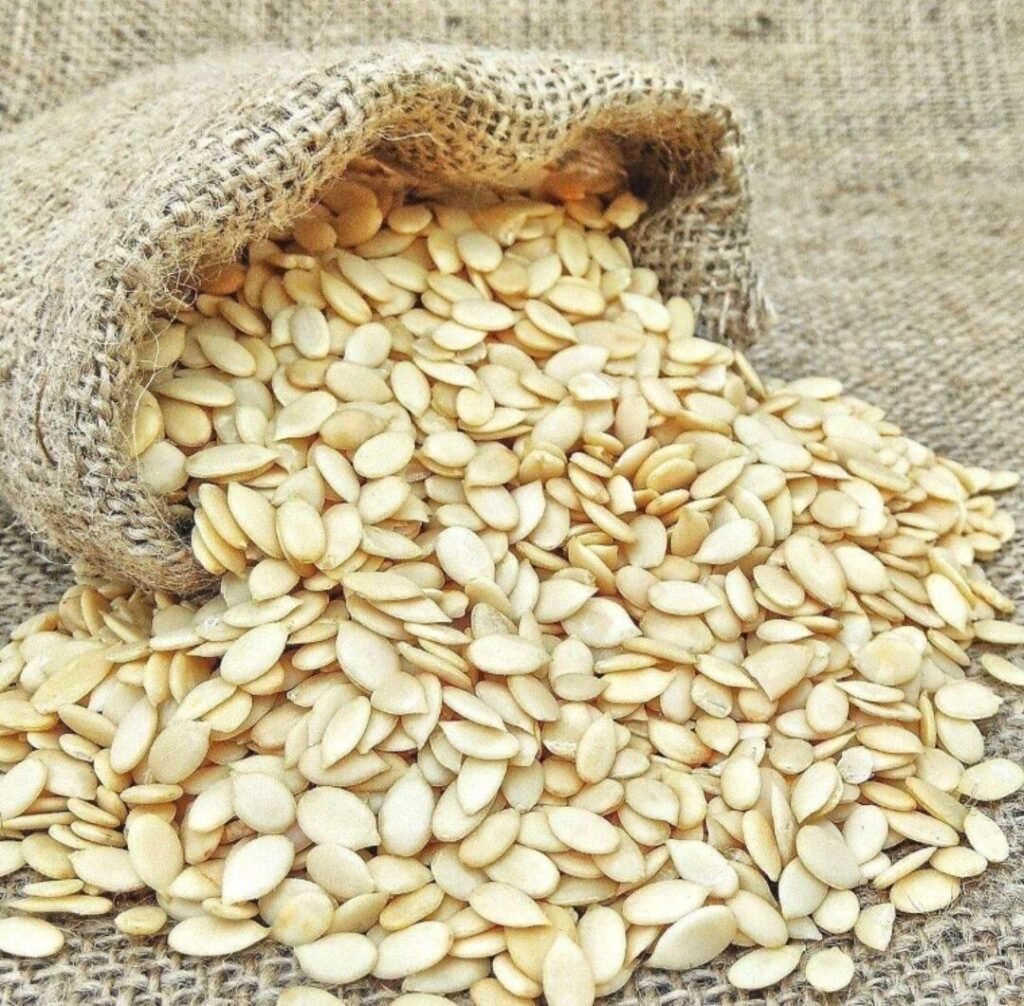 Melon Seeds
