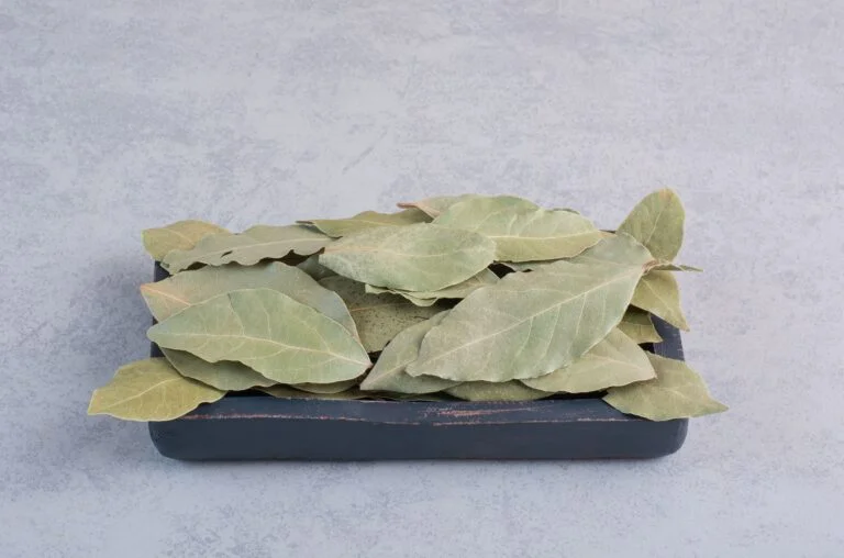senna leaves