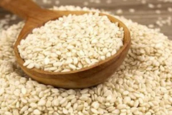 sesame